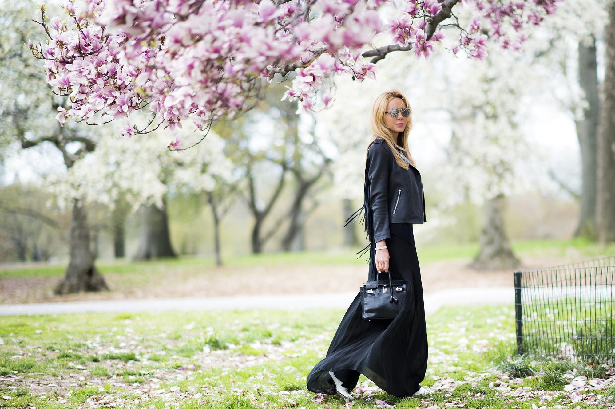 Blooming trees in central park