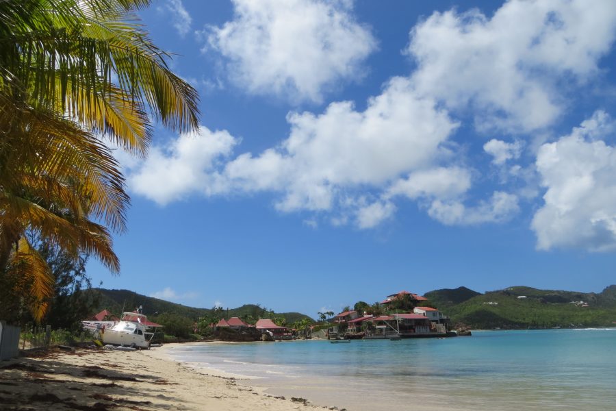 Heaven or Hell? THE TRUTH about St Barth's medicine!