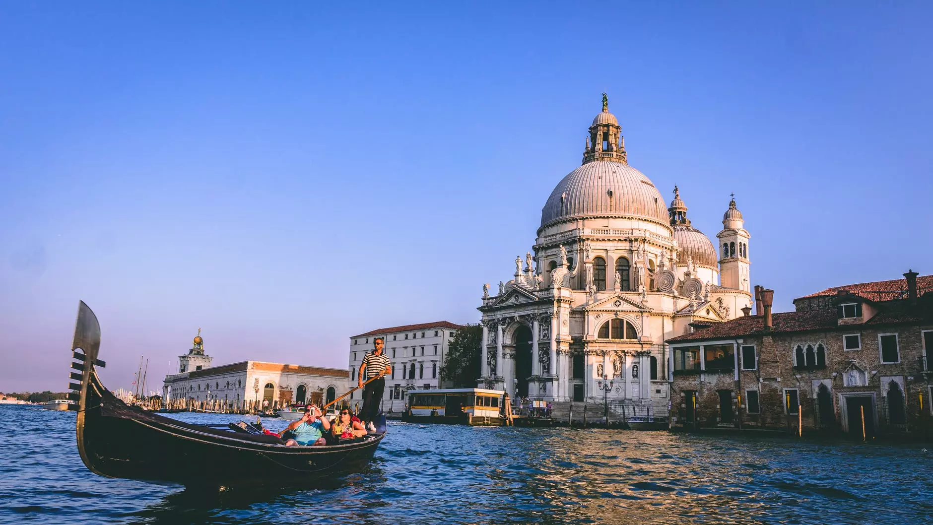 Venice Film Festival